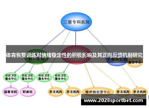 体育恢复训练对情绪稳定性的积极影响及其正向反馈机制研究